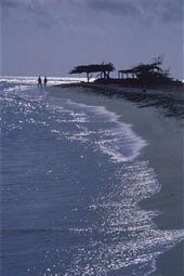 ARUBA - FEBRUARY 01: Two silhouetted people on long beach with rolling surf, silhouetted sea and divi divi tree, Aruba. (Photo by Nance Trueworthy/Aurora/Getty Images)